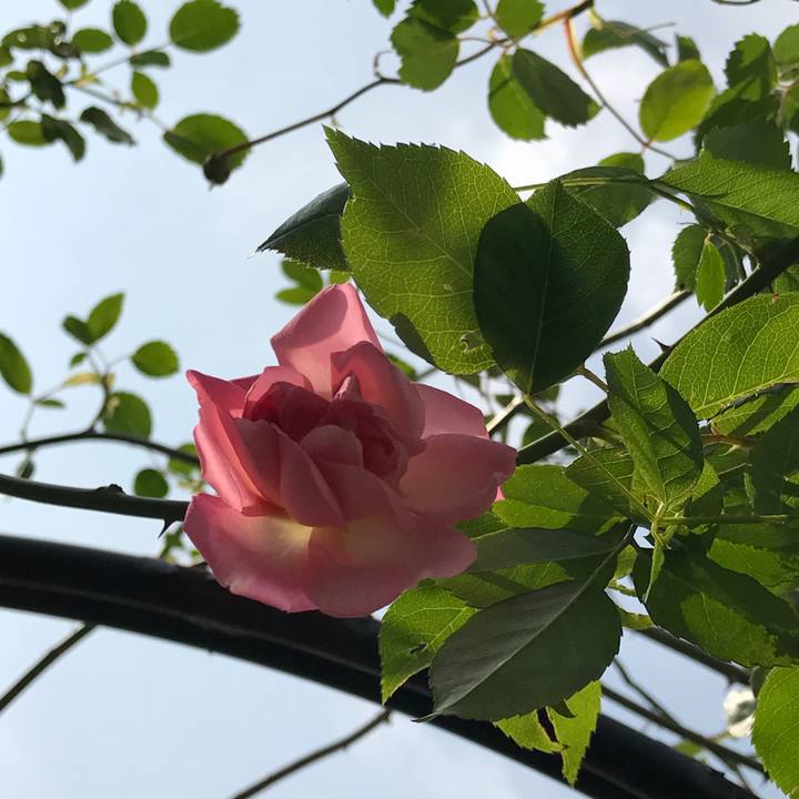 5830787b 8a85 41e6 a05f cda0a9343218