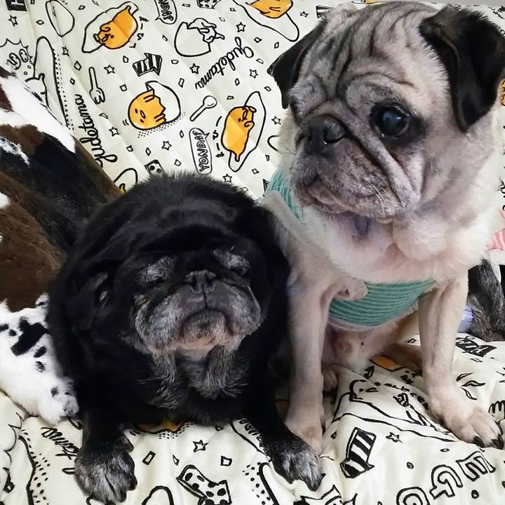 58307c64 33b7 4bac 9066 e32b711b2a37