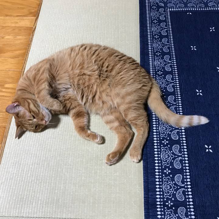 5830bf3f 91ee 475f a180 73000623df2c