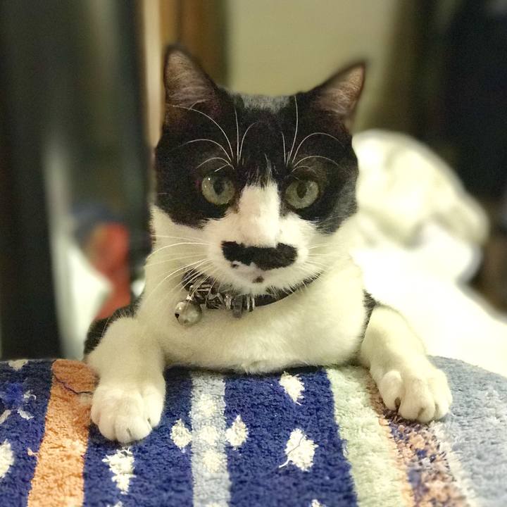 5830c971 33f6 4d6c b69f 9e9b28209055