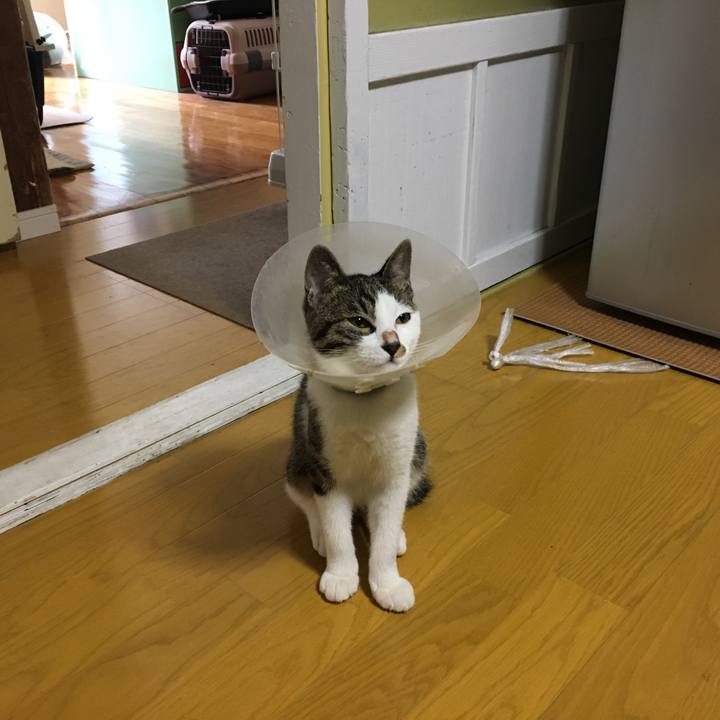 58327d63 8d3b 4757 96d3 6bc795b6feeb