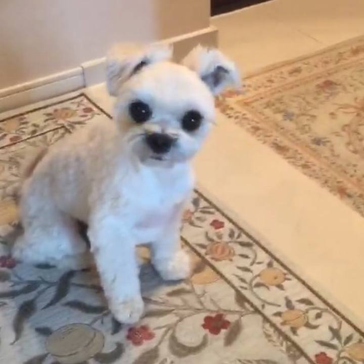 58334a47 65f7 4fc2 a664 e50de44a98a8