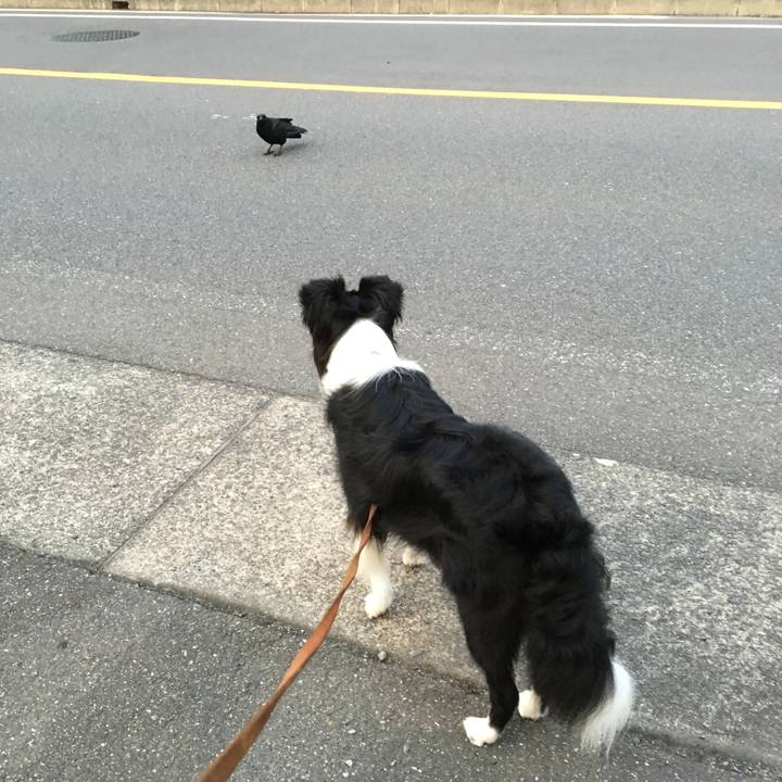 5834257c d9b9 482d 980b 757c50c6a5d4