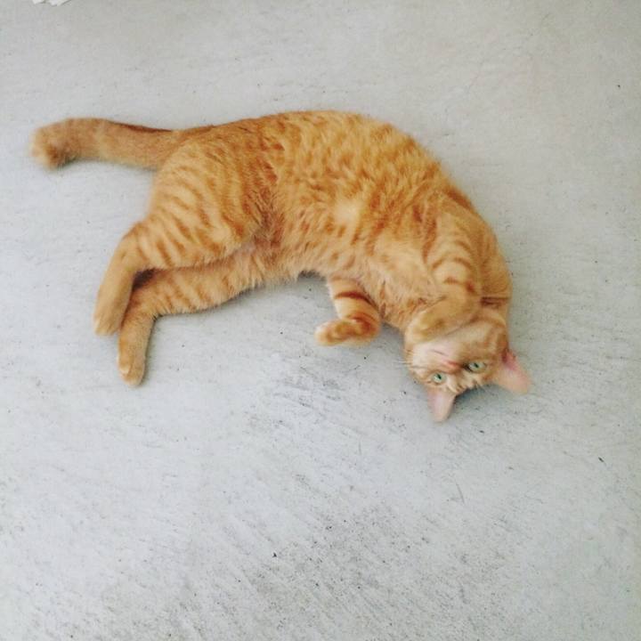 58346239 1e3a 4db1 87b7 e1caf83b931c