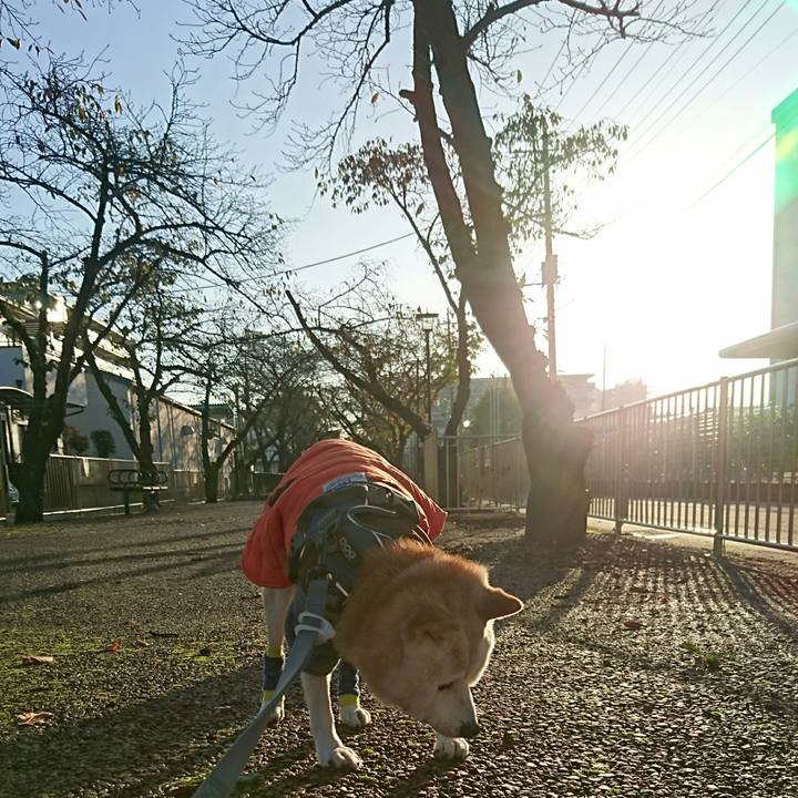 5834f75c 08e9 4aff a7d4 d80f9fc9e824