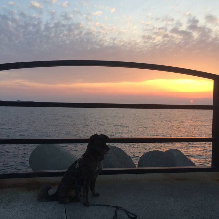 583508ba db0b 473a 85ac 5f8833e28f9a