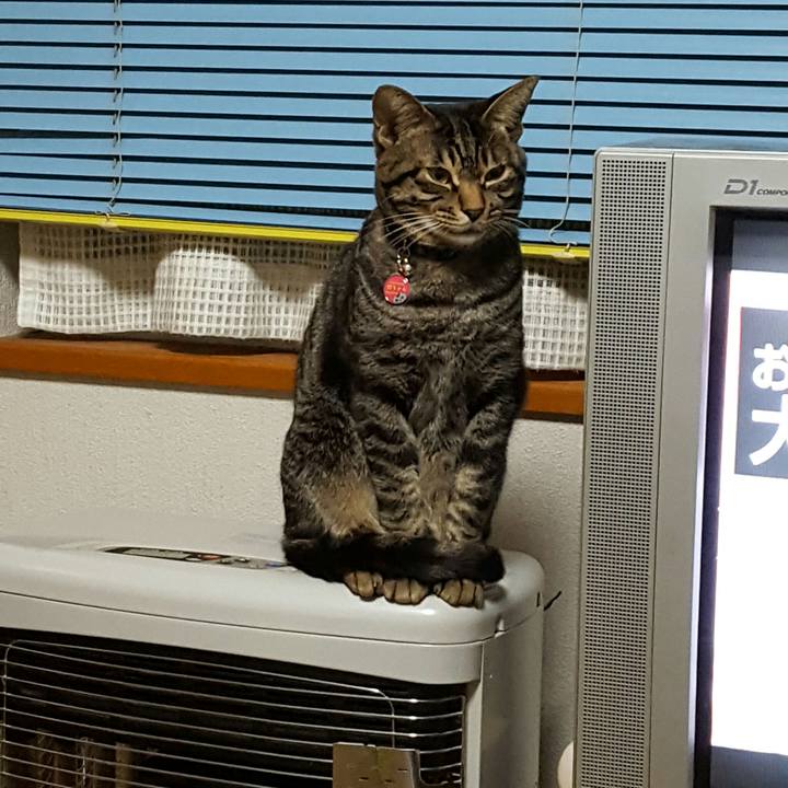 5835481d 55d2 4415 8906 511f22f58536