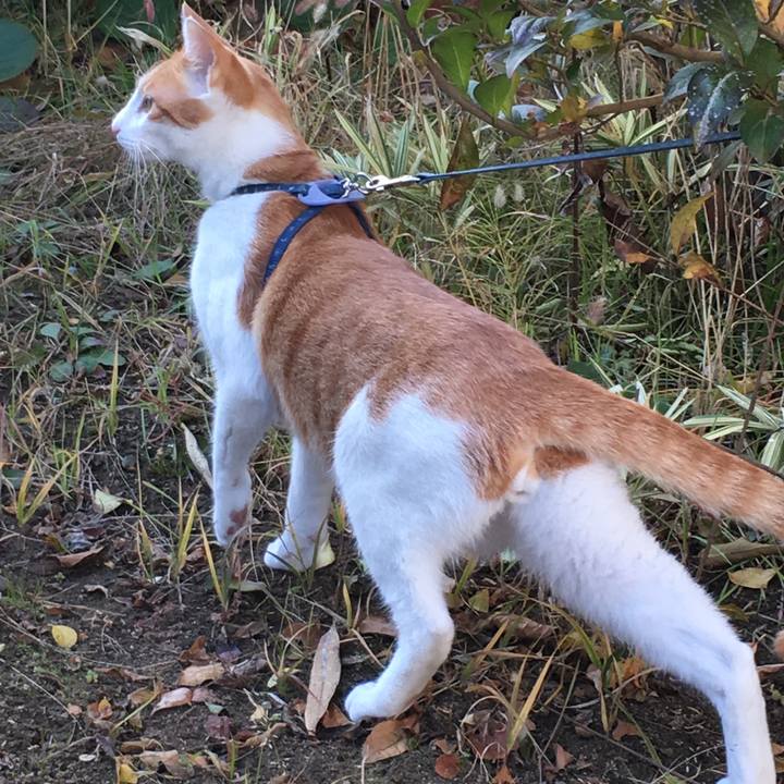 58356e13 7656 4e33 ad0d 5a88c5af785b