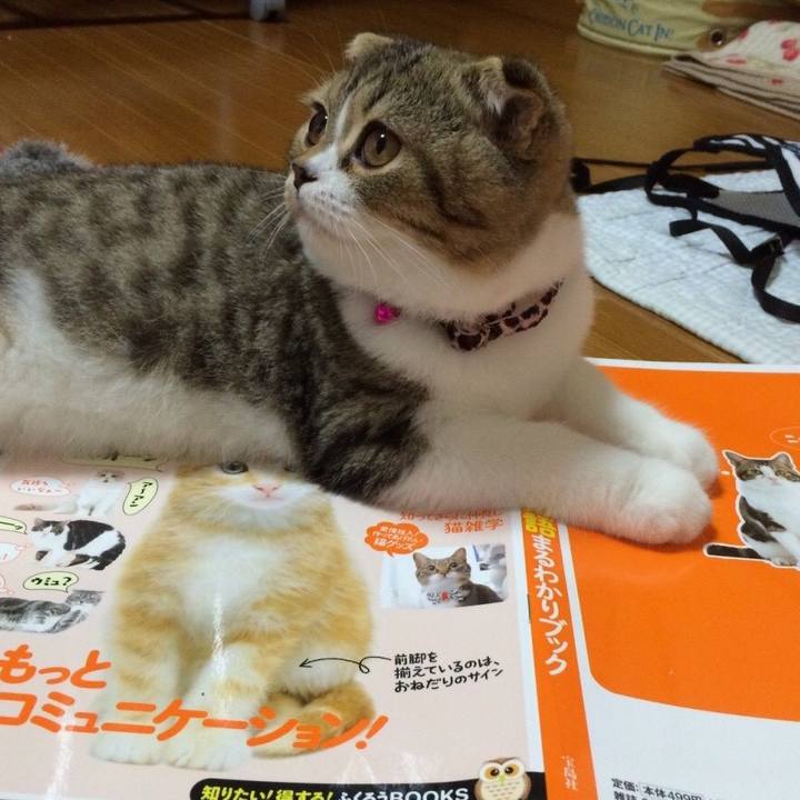 58357191 f254 4753 aff5 98019425a555