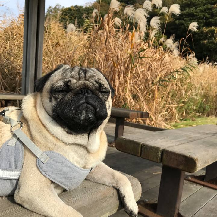 5835d31b da94 4131 9053 445d61c2762a