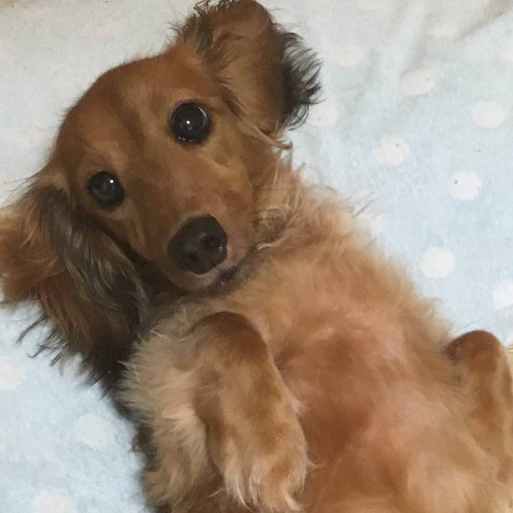 5836b8c6 5522 479f 910d b7b7e3a128d4