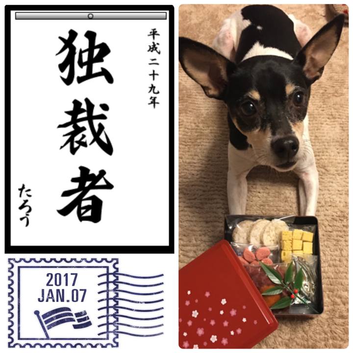 58376a38 9997 47db a3e6 c4c0209ac2a2