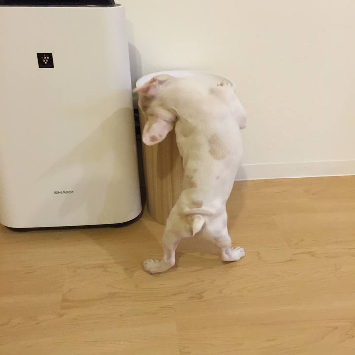 5837d9b3 517d 4313 b6be a5bc3f65ce52