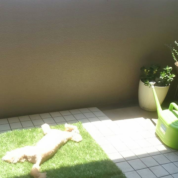 58383a54 7153 41ab a46b 13f30ddc22cc