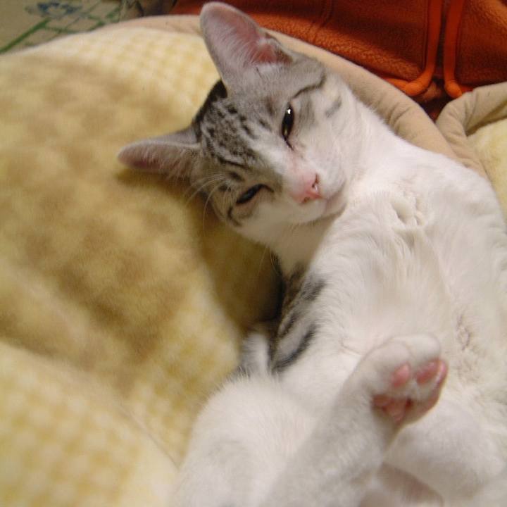 58390026 9314 454a 89bd da03d7fe119d