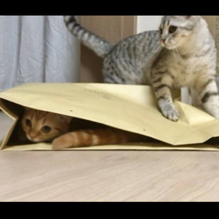 58399d77 14eb 4bb0 9160 8290262fb155