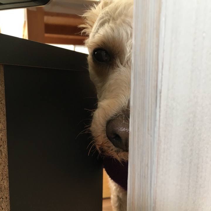 5839acc3 f16b 41c6 8289 ab44a3506503