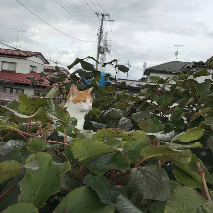 583a6c9c 5f20 4ad7 afdb fc3421cd0c71