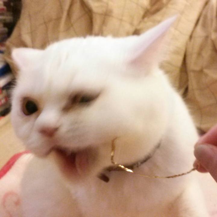 583a7220 ca3c 4caf 8448 dc137250fecf