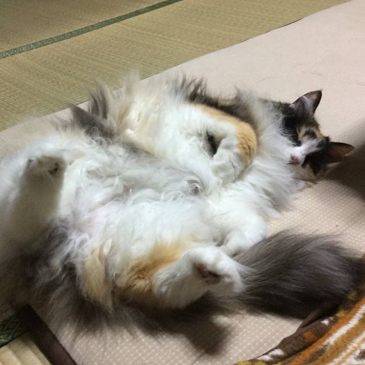 583a8bfd 72d4 4321 aa4b 0dddb60c4496