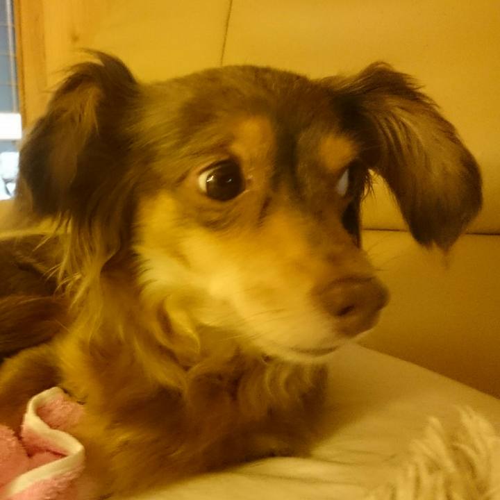 583a99a1 910d 4478 a350 d51fbe2f7b8d