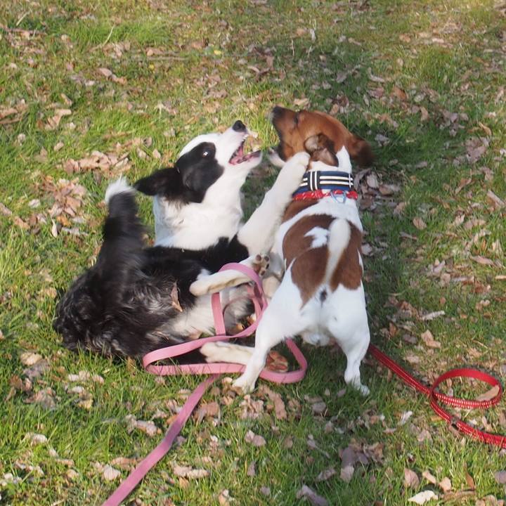 583aa6e9 220a 4eb6 a124 926b725e9120