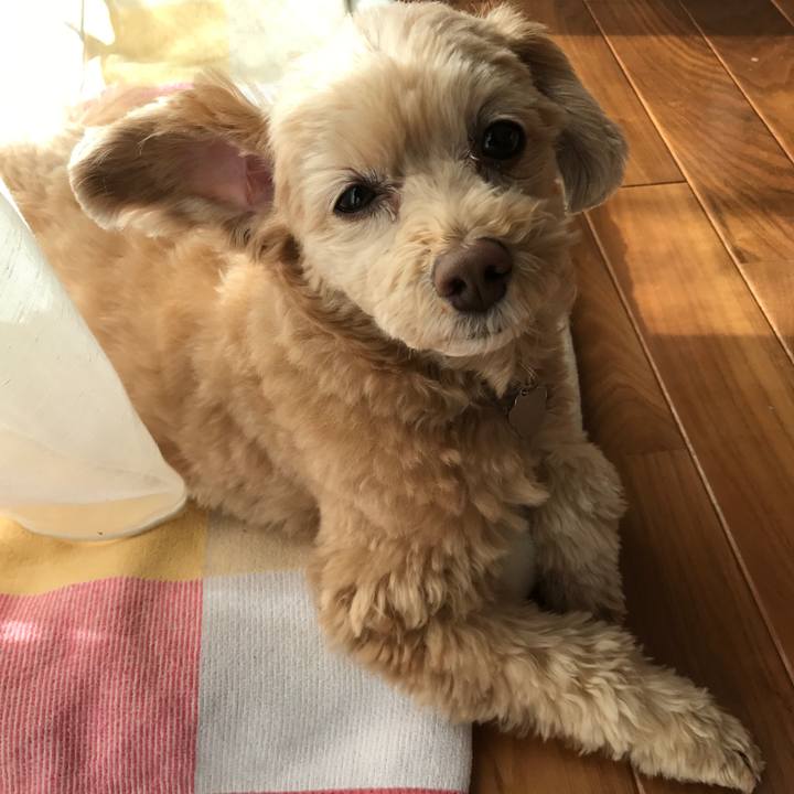 583ab197 3bbb 4bc9 8b90 6df40609c8bb