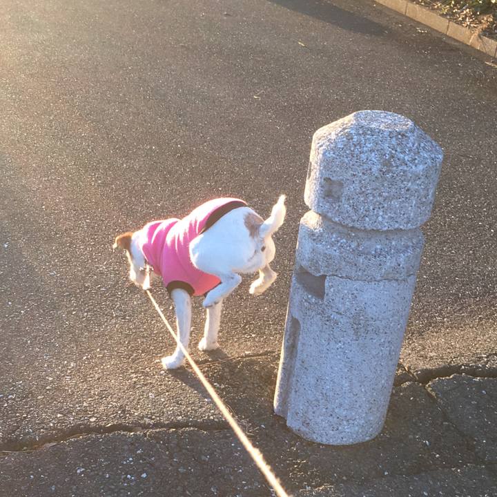 583b4eb5 6fd9 4fb1 aa8d 54b35ae8111e