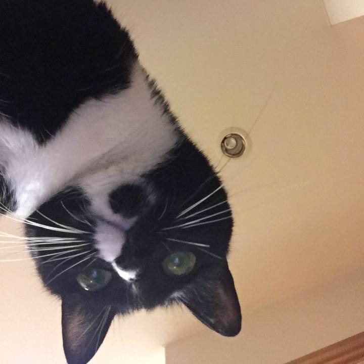 583b7484 de62 45c2 9c8c 0355cc0c963b