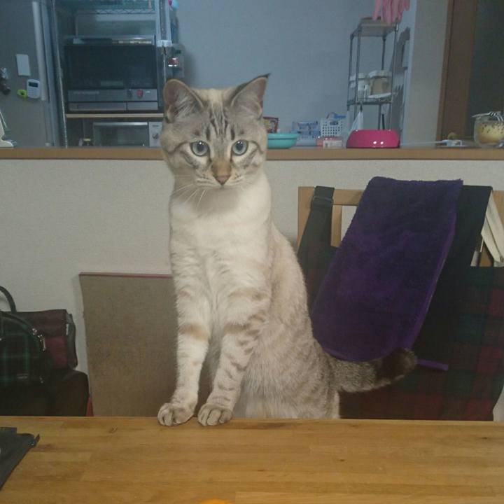 583b8593 101b 4711 b55a 03016435b094