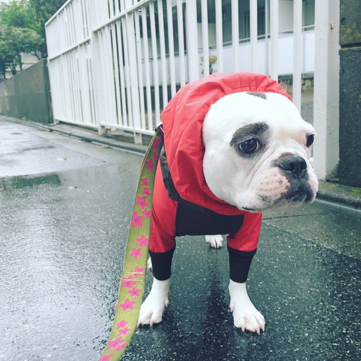 583b905c 908b 45af bf73 b6ac6775bb87