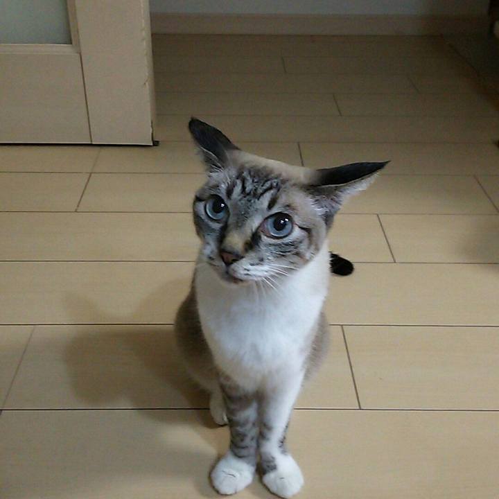 583c2250 1a76 4fb4 8963 6c51ad8b29f6