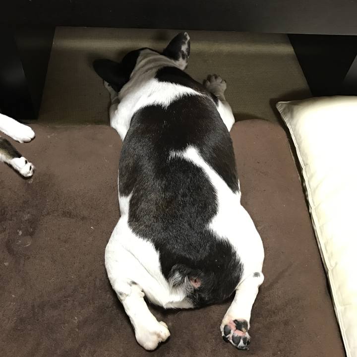 583cb2af 6205 4398 be0b 1982ccb23eef