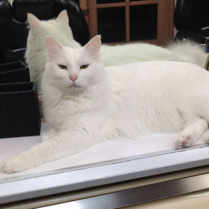 583dd1b6 5677 4471 a4ae f22ed879d8ea