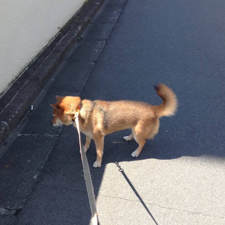 583f1dff db1d 40a8 ae57 3dc9db03fe2b