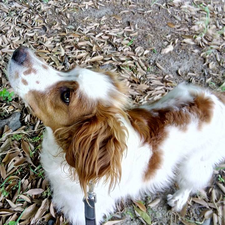 584030e6 6256 4b5b a405 6d6b202bcfd9