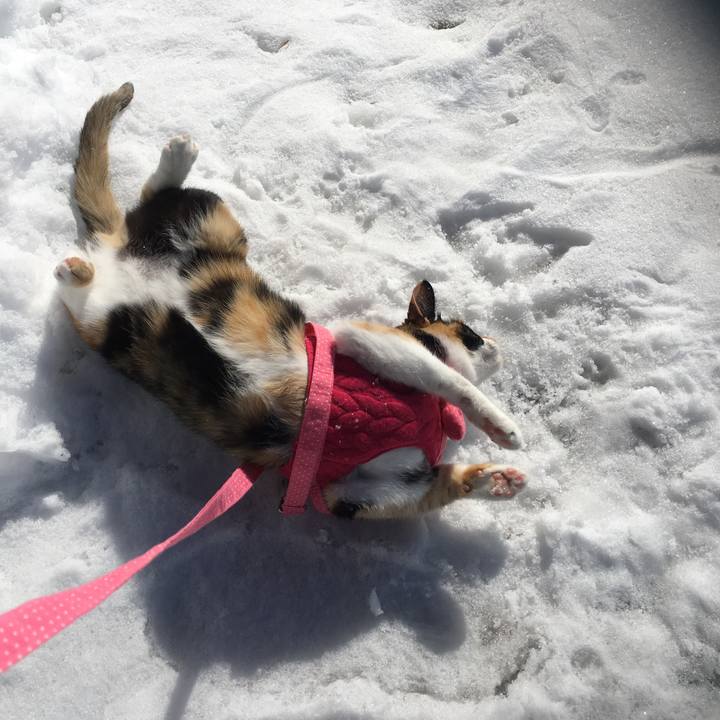 5840ba62 4994 4049 9129 452765561430