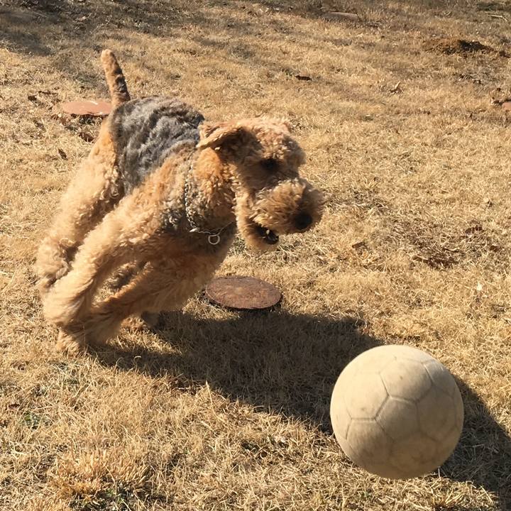 5840d7ab e2c7 419c 9278 5581cb325845