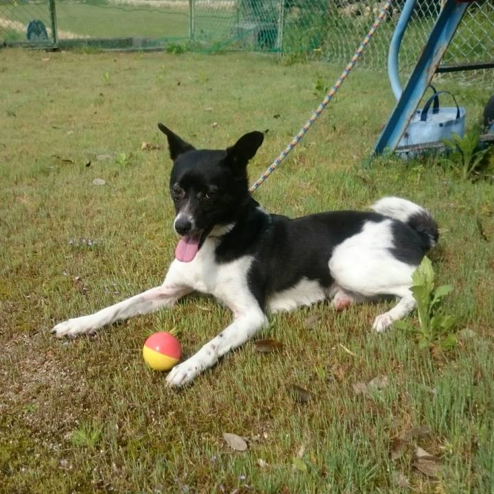 5840f11e 3b93 4ddd 99ee b9bad443dadc