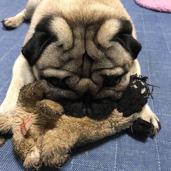 58415fd7 d006 4f86 8149 2b1945f691c1