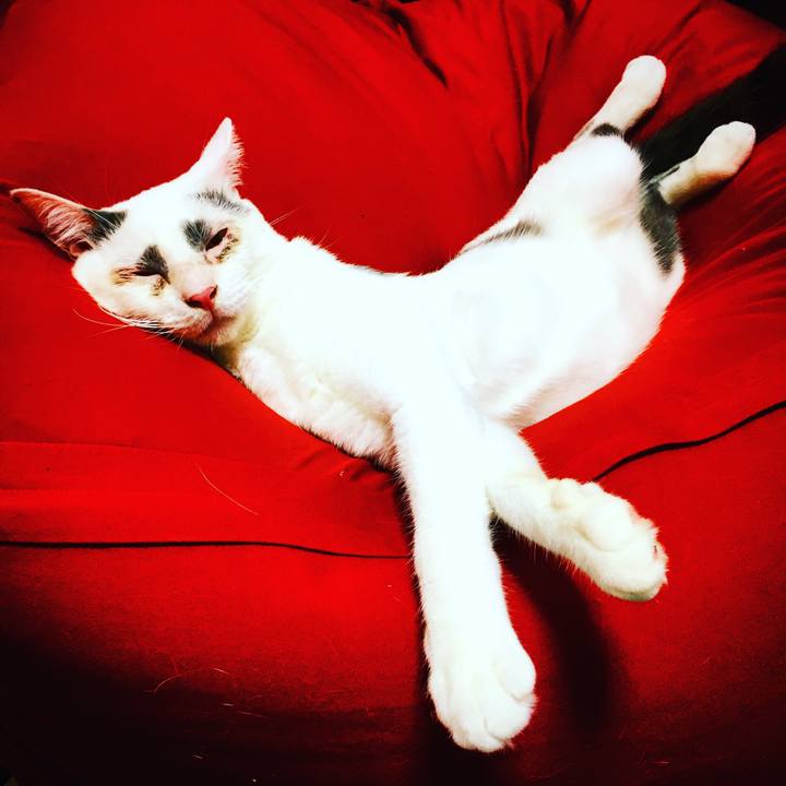 5841e777 13a3 45f3 b281 3ce2f3d1e5de