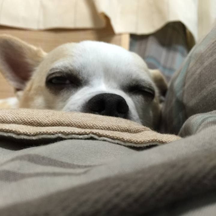 5842d814 116f 405c ad52 533e6eae7cae