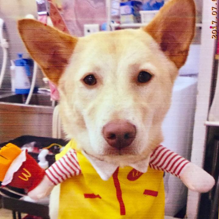 58441921 fd30 447c 938d 4cfe806d9700