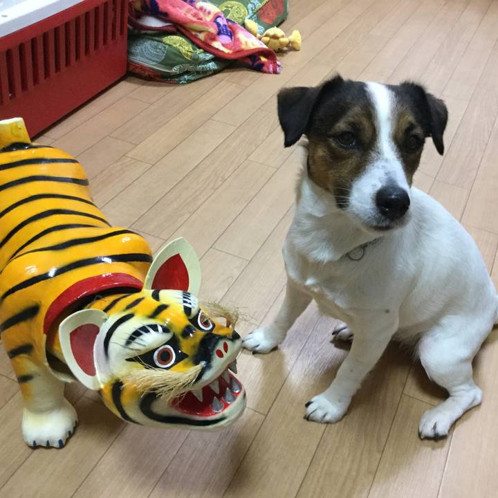 58447f2b 312c 4fca 992f 8f6bb5b3ce42