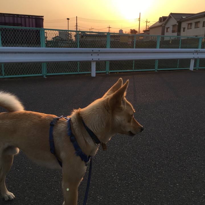 58451538 562e 4400 bf86 5cc754ee328a