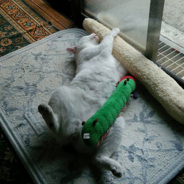 58457df1 30c5 4d69 a4fb 654078878237