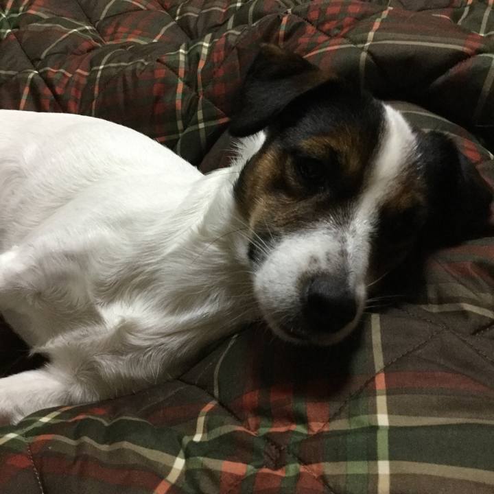 5847092e 8d79 4b8e 8bb7 d004f84a444a