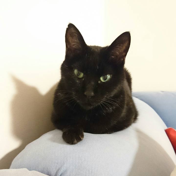 584735ac b006 49c2 a2ed 110c61355791