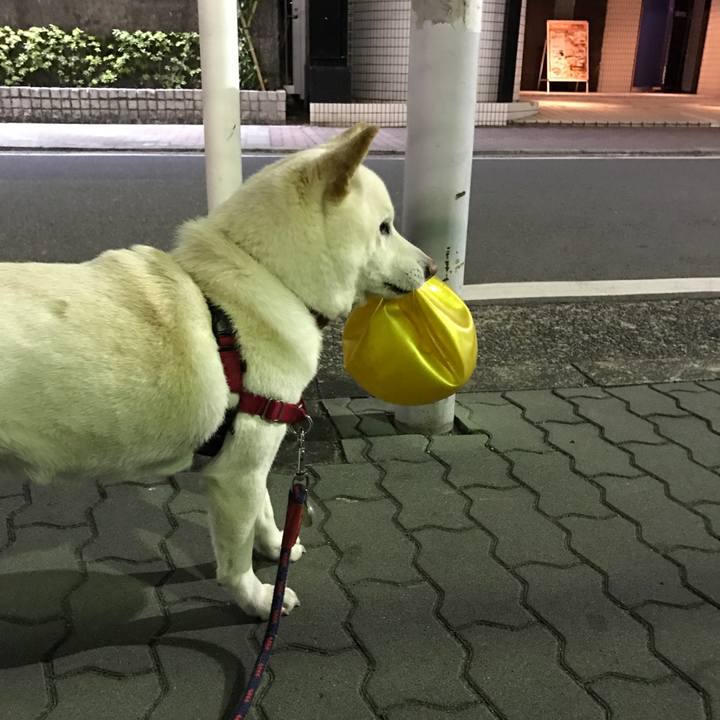 584954ab bf8f 4856 8aad 8bbc41378008