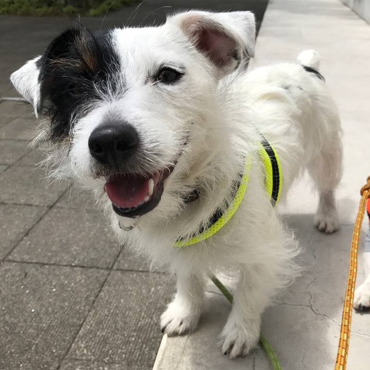 584993d2 db90 485e b205 6cb81223303c